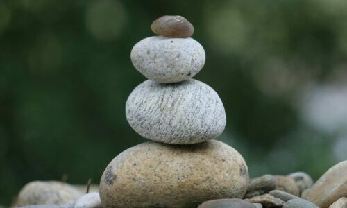 Entretien de suivi - Hanora Granja Naturopathe