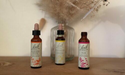 Fleurs de Bach - Saint Brieuc Naturopathie